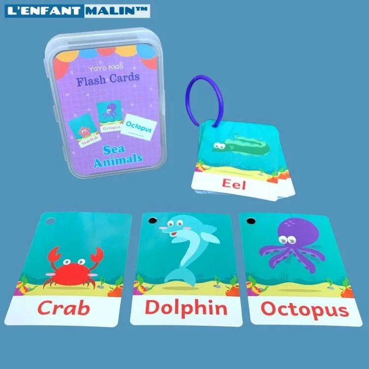 Flashcards anglais - PocketVocab™ – Image 4